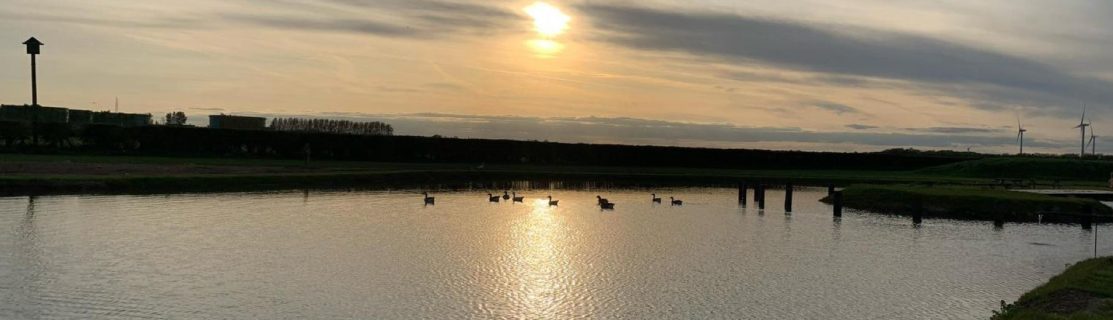 Sunset on our lake - Yew Tree Farm